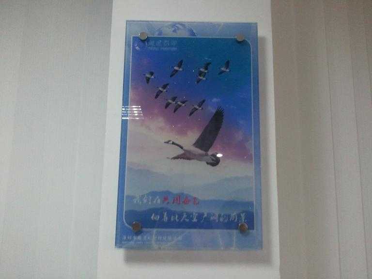 ʩUVʯӡCʯӡCS