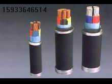 IA-YJV22-IA-YJV22ȼ늾|