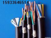 ȼԴZA-RVV 3X95+1/F؛