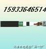 F·̖| PTYAH23 PTYA 4*1 6*1 14*1