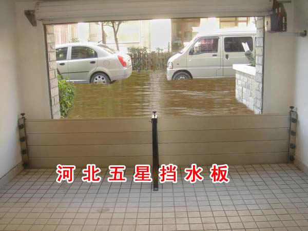 Ѵˮ塽TړˮJˮrǓˮⱩˮ