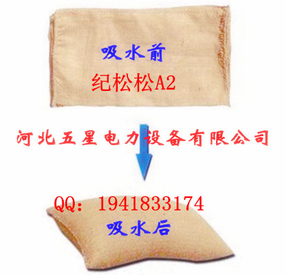 133-1331-0306-ˮÛA2ӱˮ