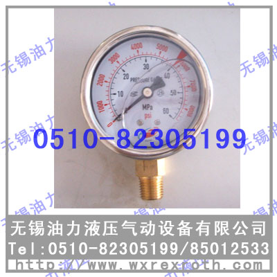  100 0-25MPASֱN