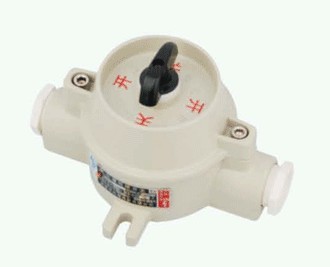 SW-10_P(BDIP)