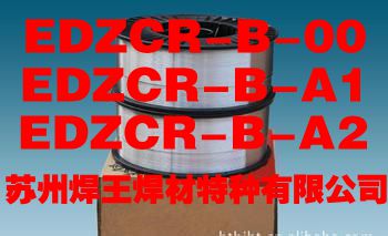 ĥѺ늺l EDZCR-B-00 EDZCR-B-A1