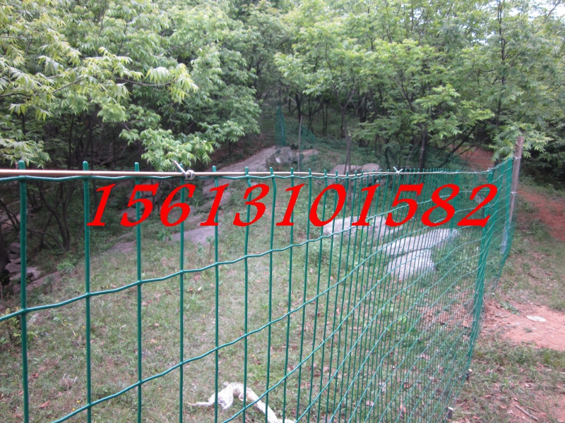 1.8*30BuFzWӹS K3mmzȦFzW؛r