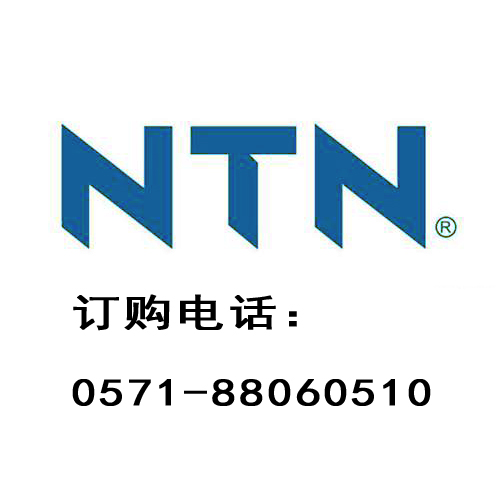 NTN 6300-ZS-6300-ZSЬF؛