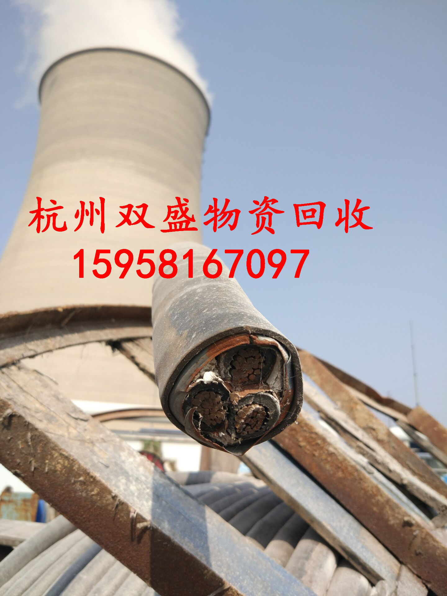 Ҧl늙C׃ԃr