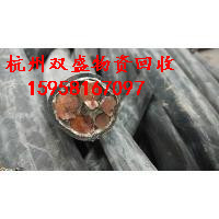 ɳ^UfƷĚgӭ