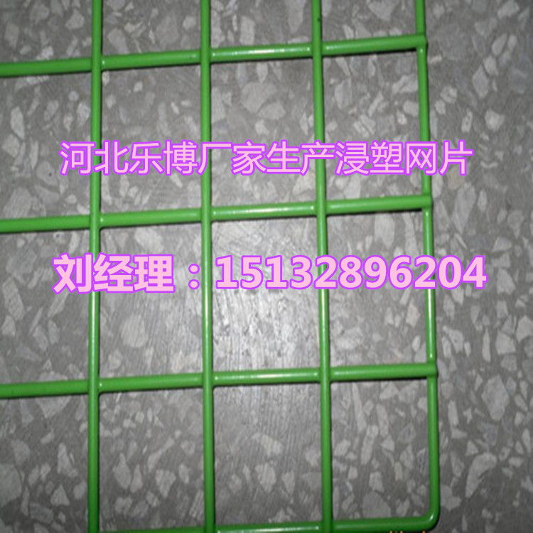 KܾWƬϾGɫFzWSֱN ̓r|