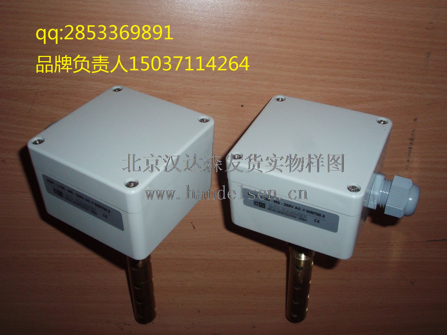 CG Goldammer TR501.891h_ɭF؛