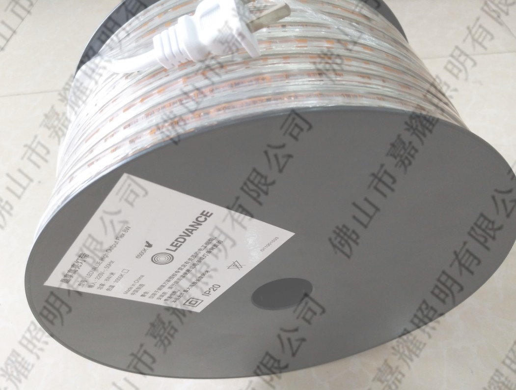 ʵf˹ 220V AC LED 6W/8W