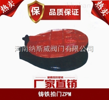 ݼ{˹ZPMTFTaƷֱN