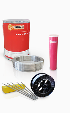 GES-307P䓺lE307-16P䓺lA172P䓺l
