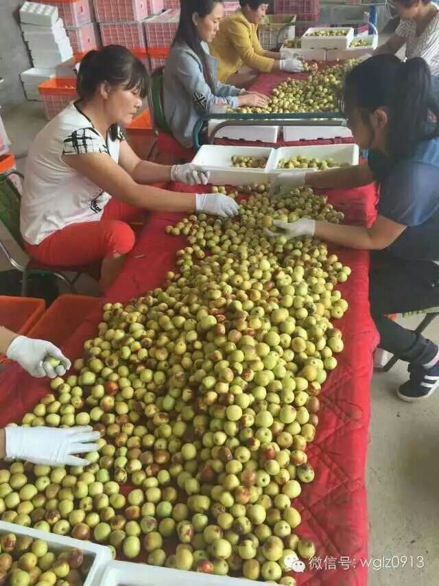 󶬗عʲô