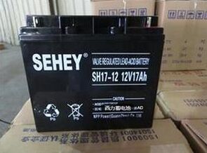 SEHEYSH38-12늳