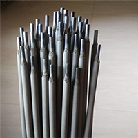 E6013l