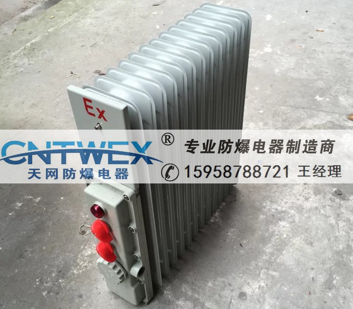 BDRI늟͡ȡů2000W 2KW 2500W 3KW