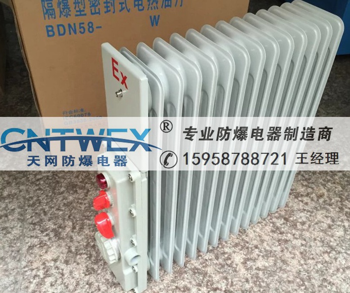 FLJR/BDN58-11/2KW͡11Ƭ 2000w