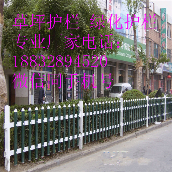 ǬSҹӰоGř @־Go ƺo