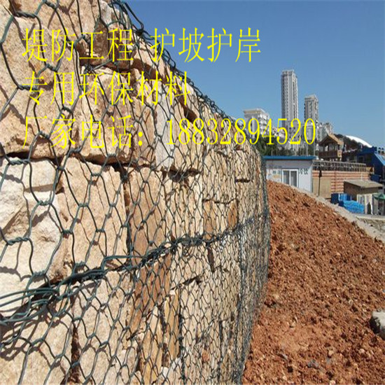 ǬSҹ˲eW eWo| 僸ߠeW\