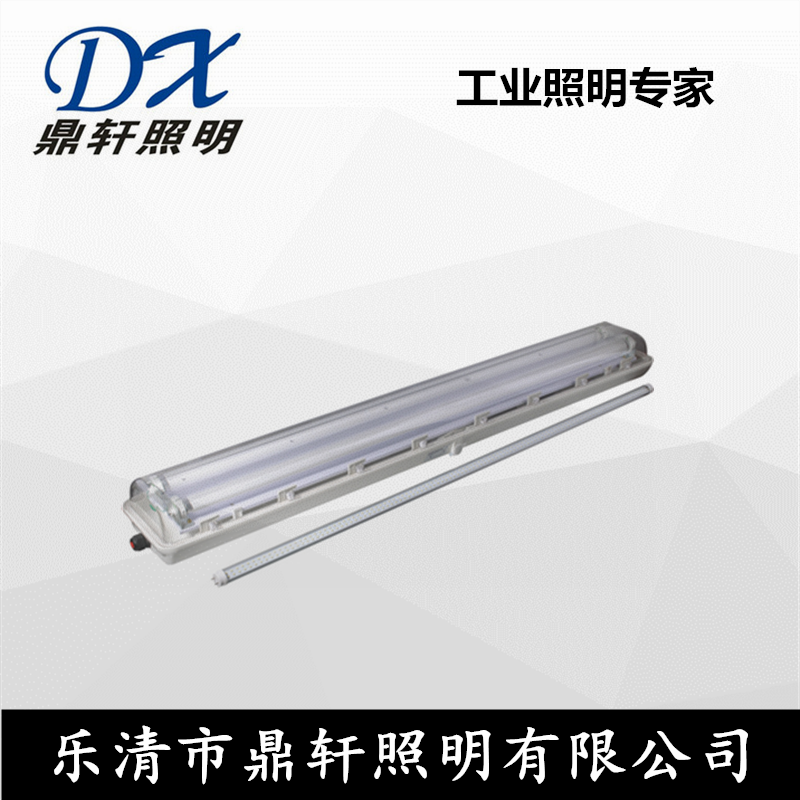 GD9179L/2*20WpܟɹX