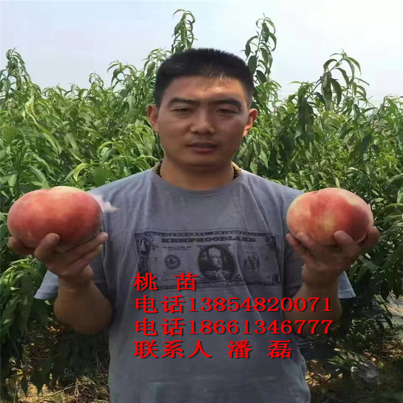 ɏҘʲôƷN ɏ4̖ҘƷN