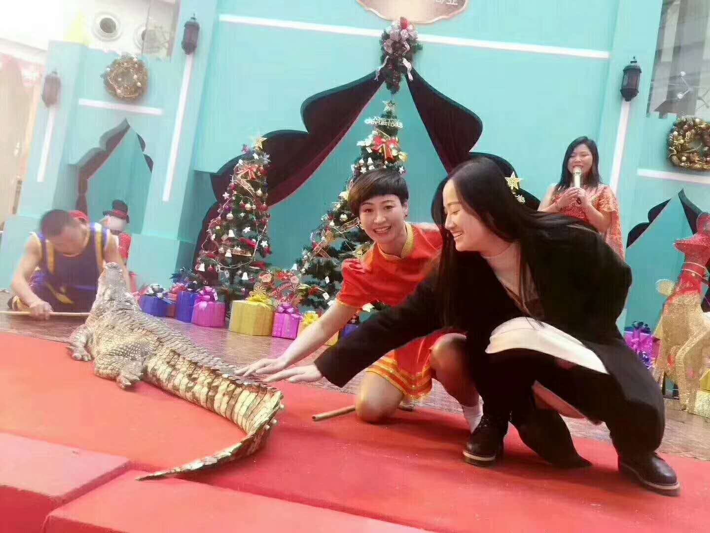 cݳ{~չ {~ݳ