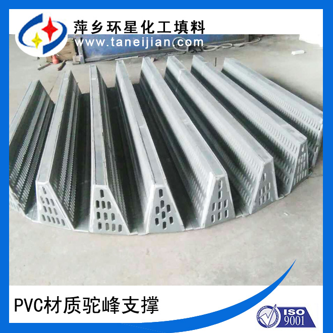 ǽ֧֧а PVCƼlaS
