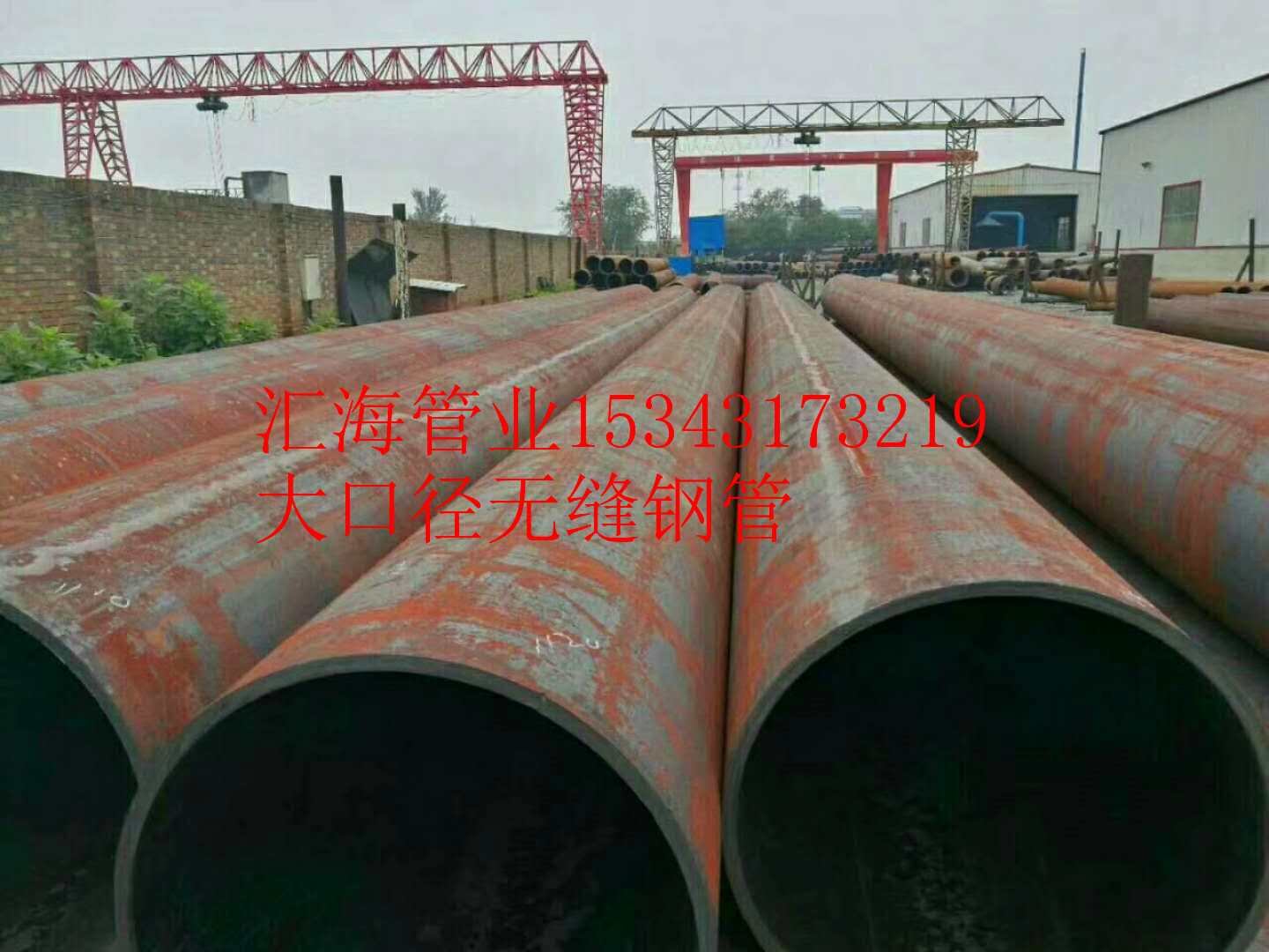 ɽ530ڏop䓹3087op䓹܉