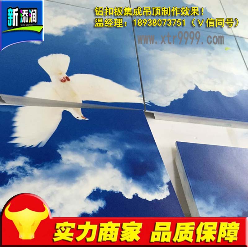 X۰弯ɉӡCĂSҺ