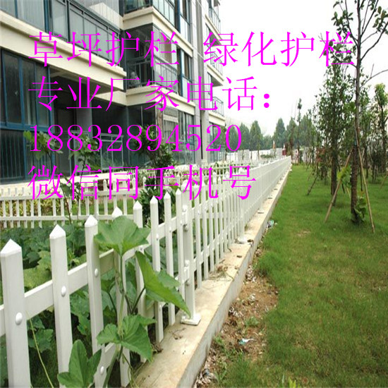 ǬSҹТгоGř @־Go PVCƺo С^ƺo