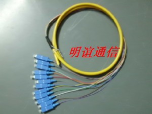 50/l12оFCβw|12оSCβw|12оβw|