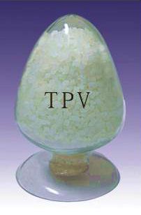 ɫDTPV ɽƺ 101-73