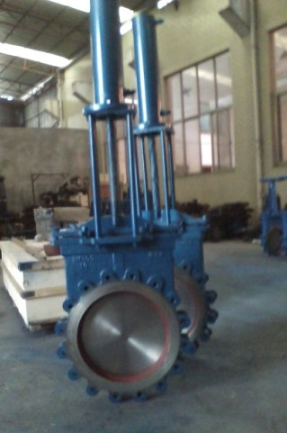 PZ773HҺӵly
