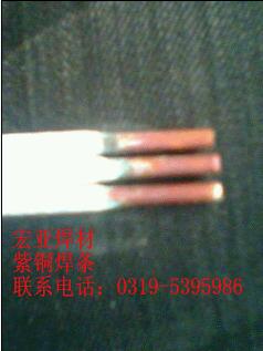 T107~l T107~l ECu~Ͻ𺸗l