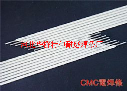 D502yTѺl