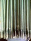 AA112P䓺lr/P䓺l̖/P䓺lS/P䓺l|;