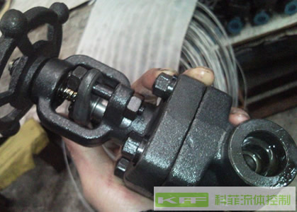 Z11H䓃ݼyly䓽zlyyT