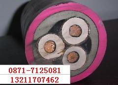 YZ/YC-450/750 2*70