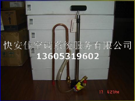 yellow jacket{ͱ77930քӼͱ