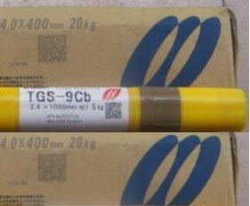 TGS-9Cb(ER90S-B9)ձ䓺zT91/P91Mںz