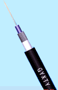 |GYXTYϵ