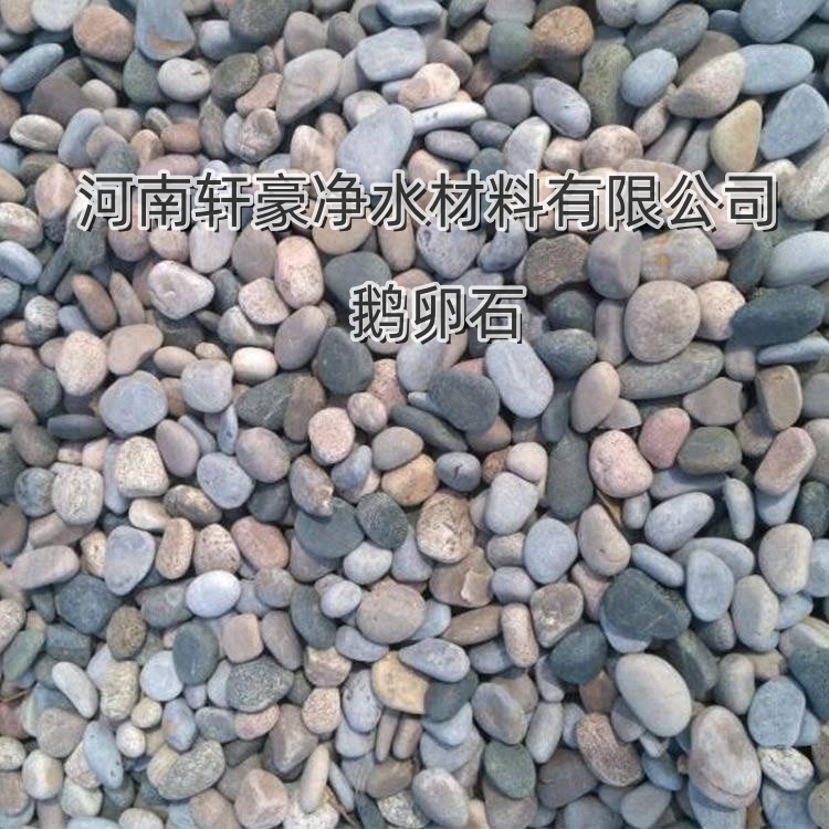 ZʯTЧaSļҺ