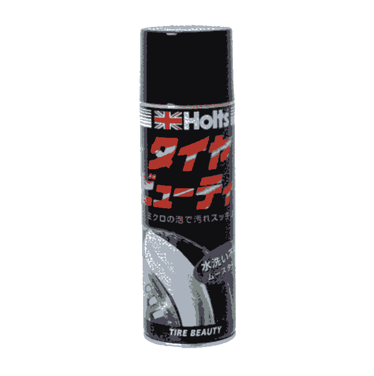 ձiۥHOLTSϴMH749