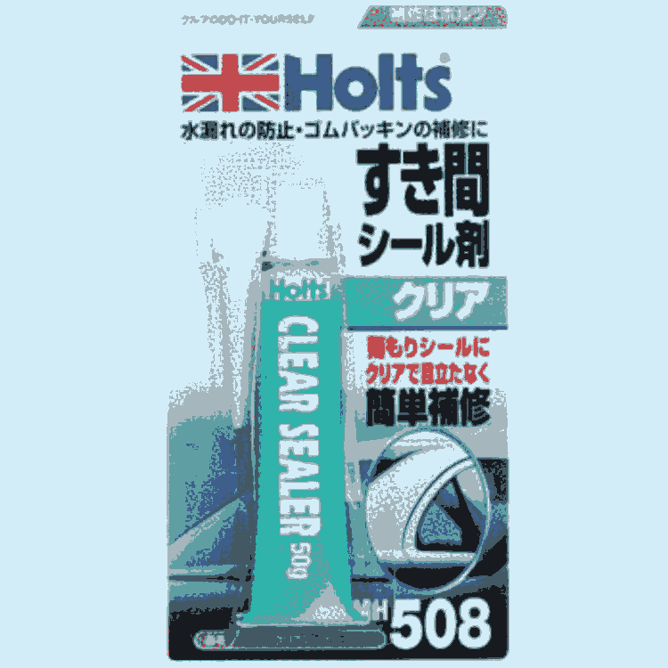 ձiۥHOLTSaބMH508