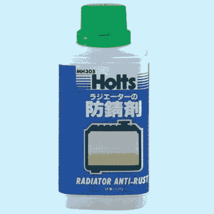 ձiۥHOLTSaބMH305