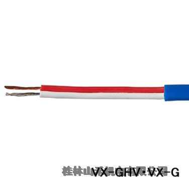 ݹձ늾늾VX-GHVVX-G