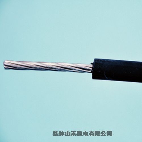 ݹձĥ늾6600V KIP