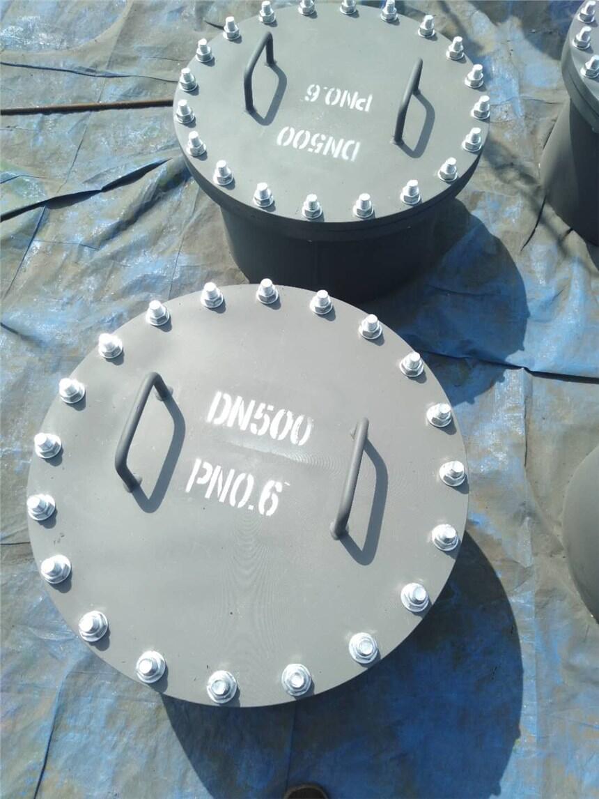 DN500˿aS